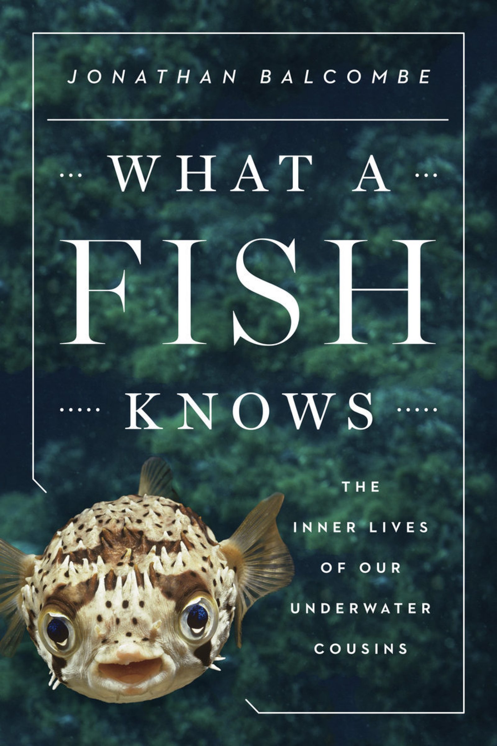 What A Fish Knows