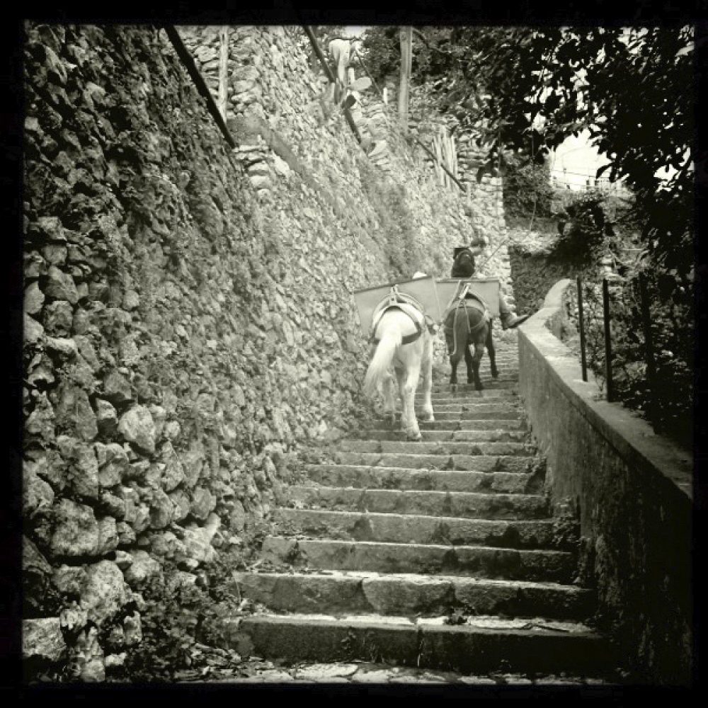 Donkeys carry heavy loads up the stone steps.