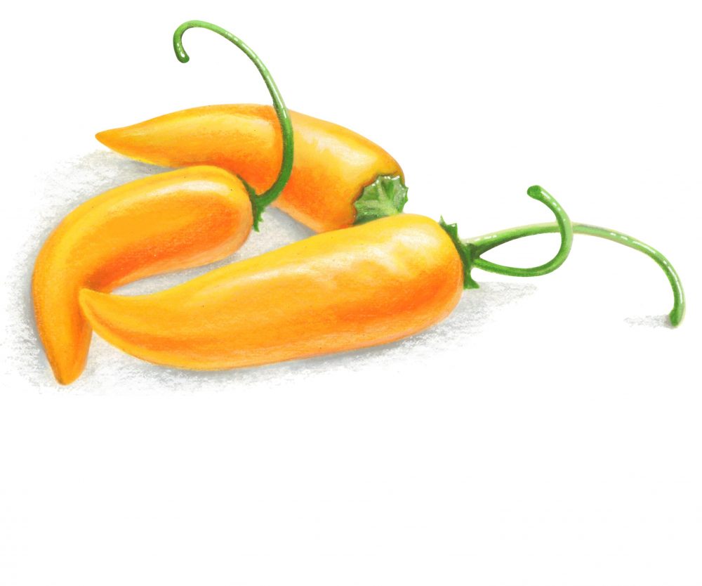 Fresh peppers amarillo