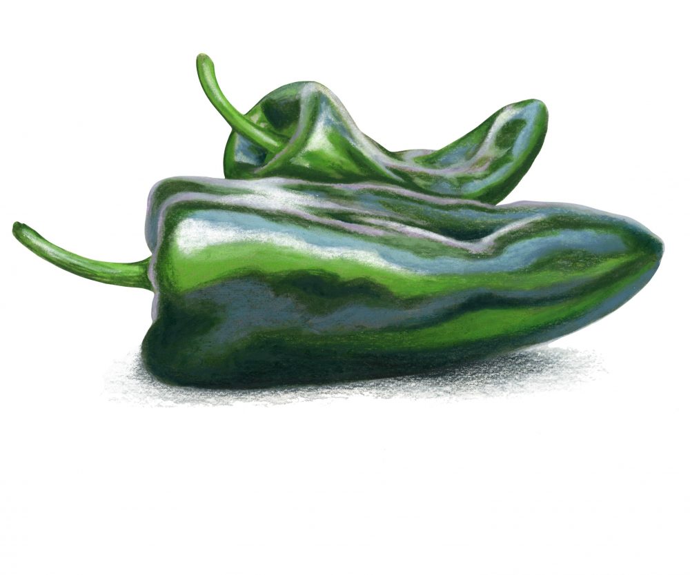 Fresh peppers poblano