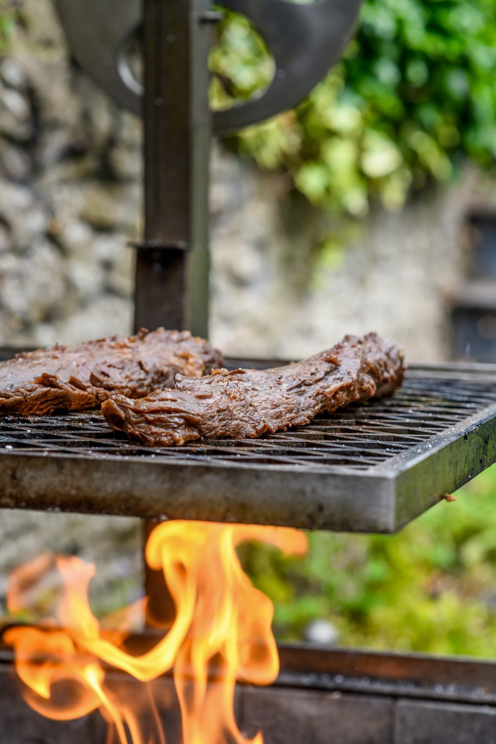 Grill marks are overrated and other grilling myths with genevieve taylor 5