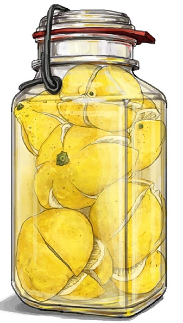 E0118 Ms Lemon Jar 01A